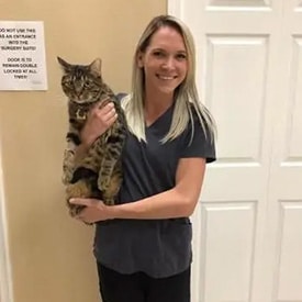 Pet wellness at All Creatures Veterinary Center