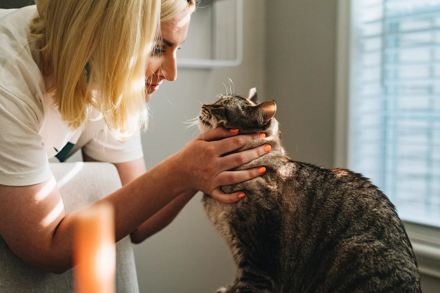 What is a Pet Endoscopy? — CT Scan & Endoscopy